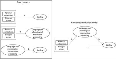 Language abilities and phonological information processing mediate the association of spelling with bilingualism and socioeconomic status